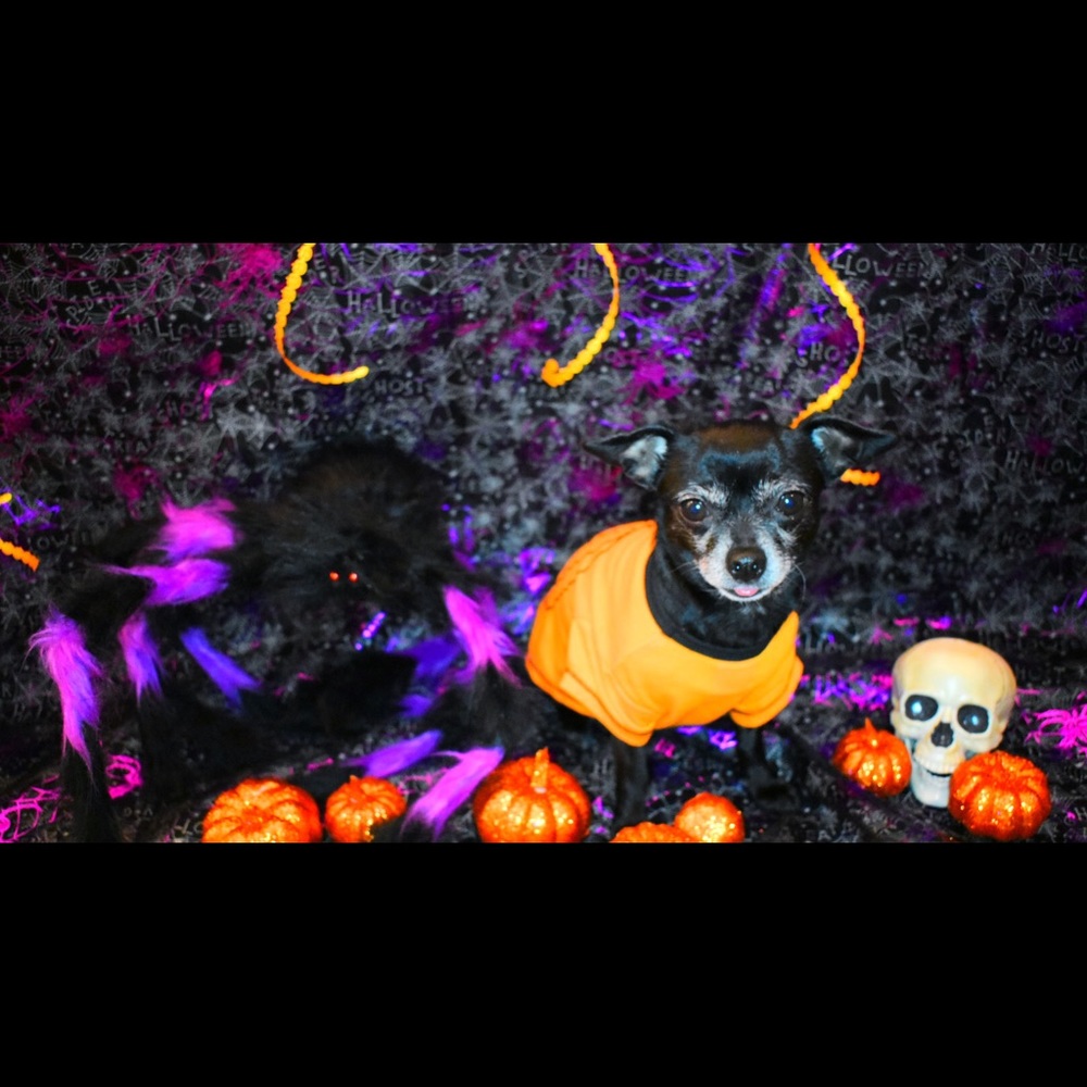 Meet your Posher, Fayth